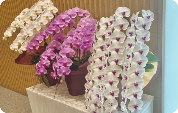白とピンクの花が飾ってある